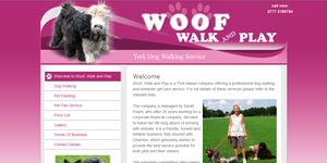 Leipzig Webdesign Beispiel - York Dog Walking Service